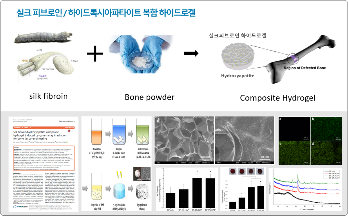 실크 피브로인 / 하이드록시아파타이트 복합 하이드로겔