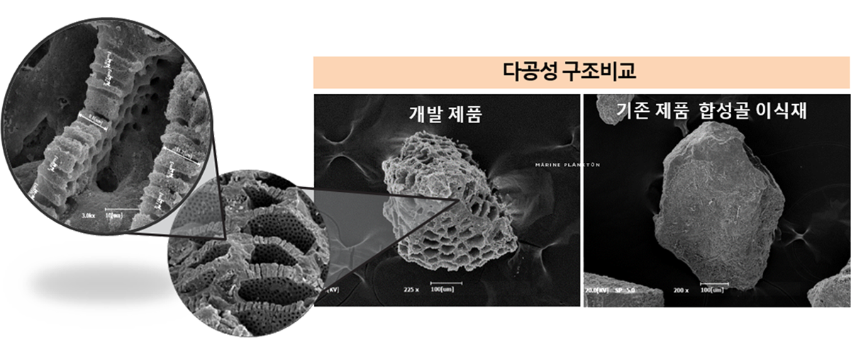다공성 구조비교